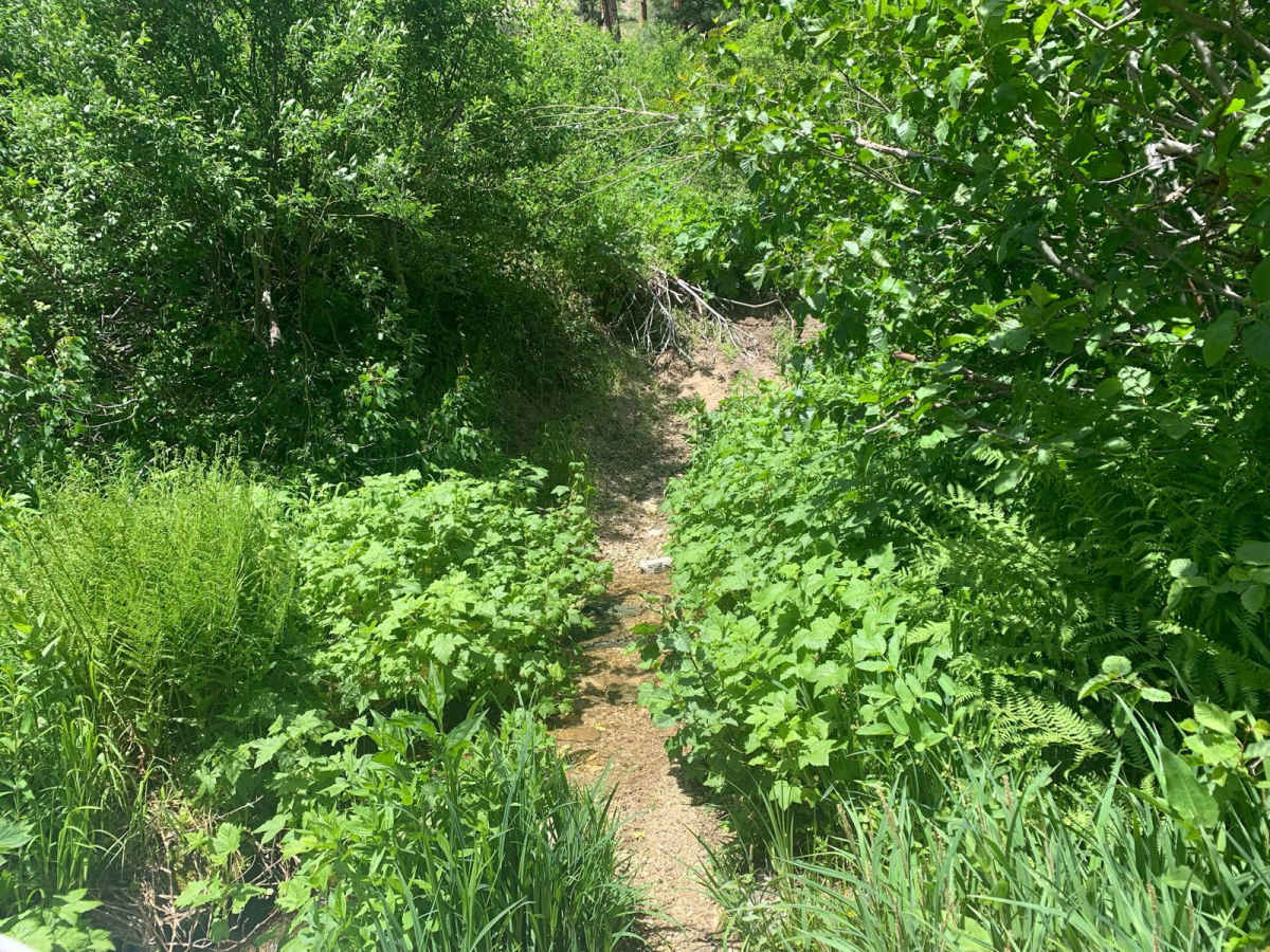 Crosscut South photo 2