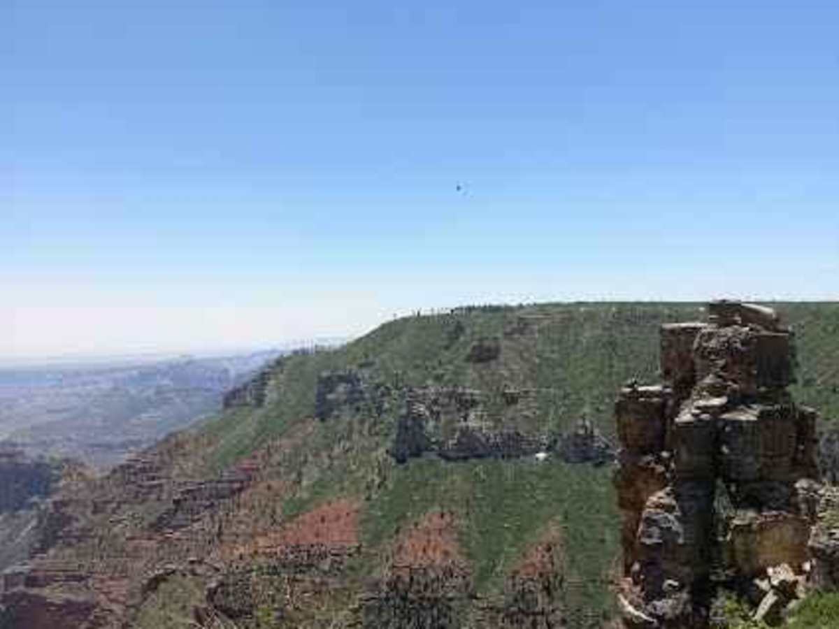Saddle Mountain/Dog Saddle photo 5