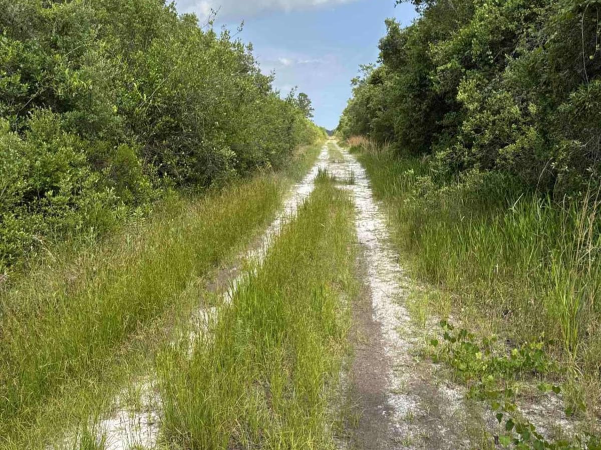 East Double Bridge Road photo 2