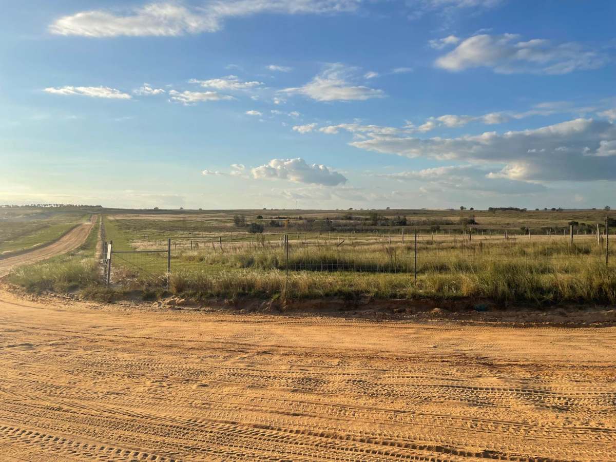 5 Mile Road Winter Garden - Clermont photo 2