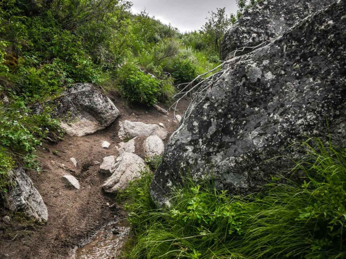 530 trail photo