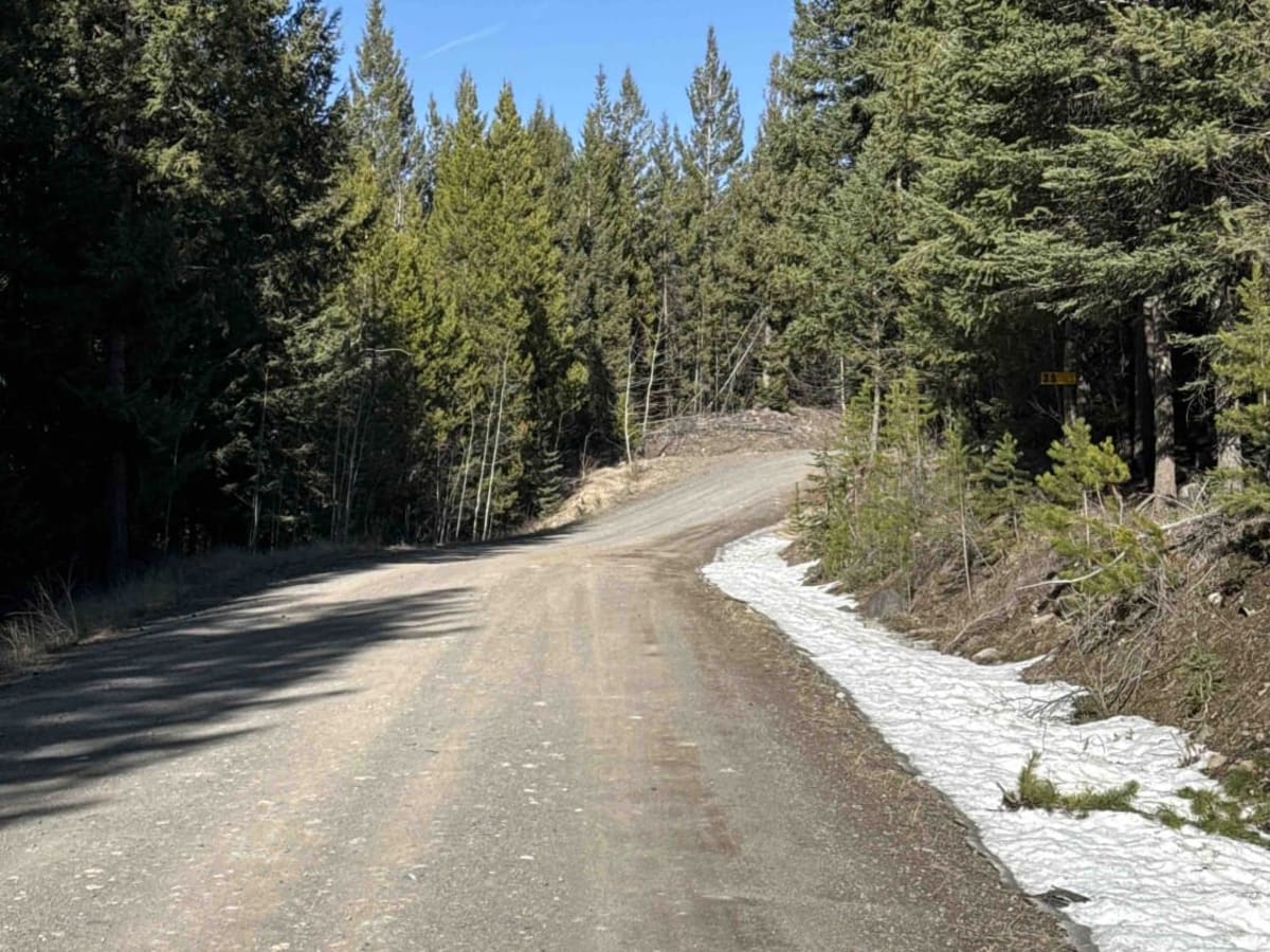 Dillard Creek FSR photo 4
