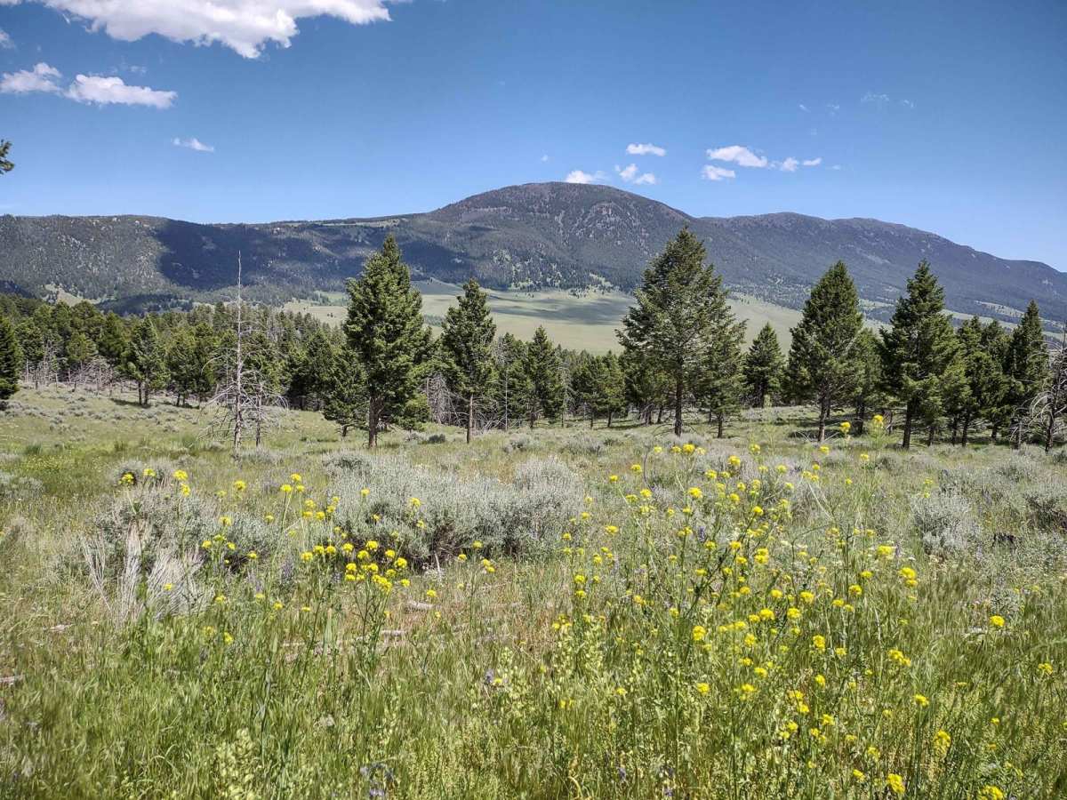 North Whitetail Road Spur trail photo