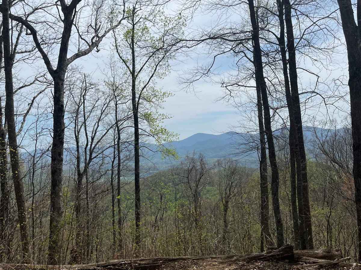 Thunderstruck Mountain trail photo