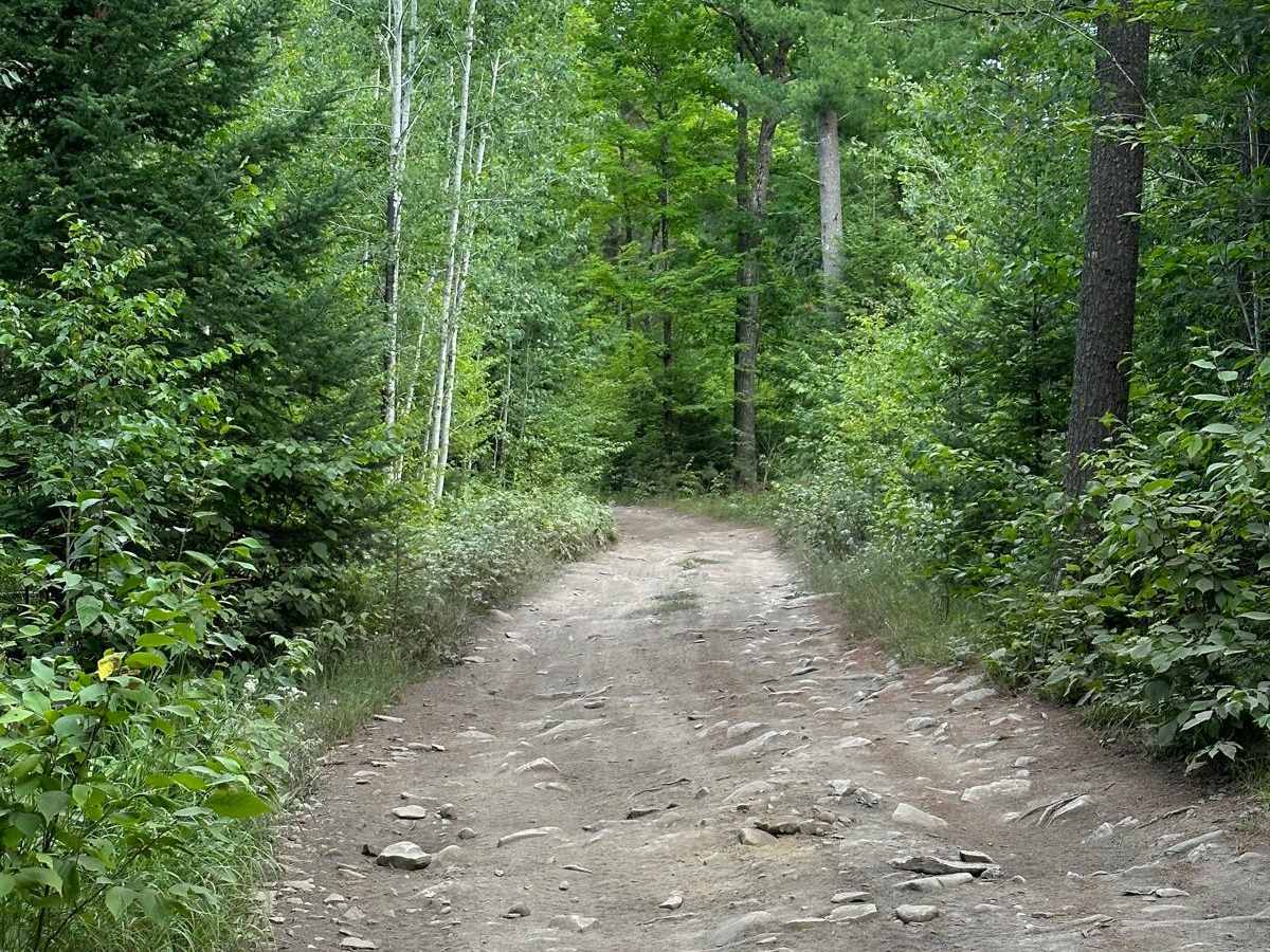 ORV Bypass - 492 photo 4