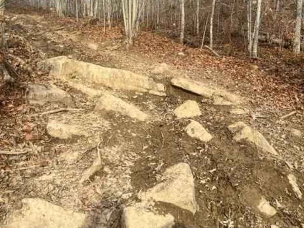 Coalmont OHV Trail 17 Blue photo 4