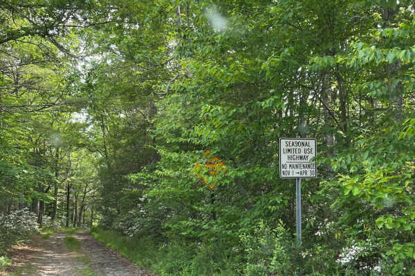 Carpenter Road