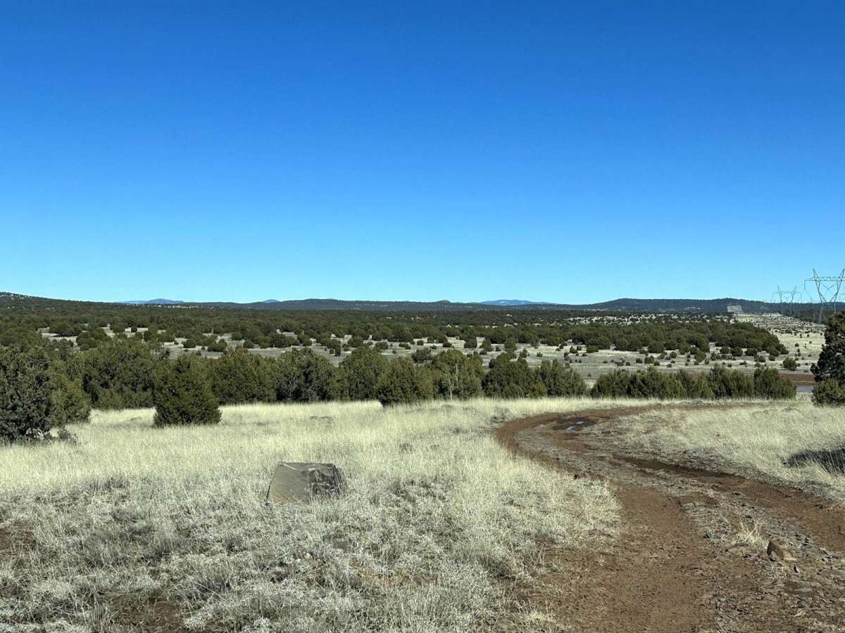 Mongollon Mesa Trail (9D) trail photo