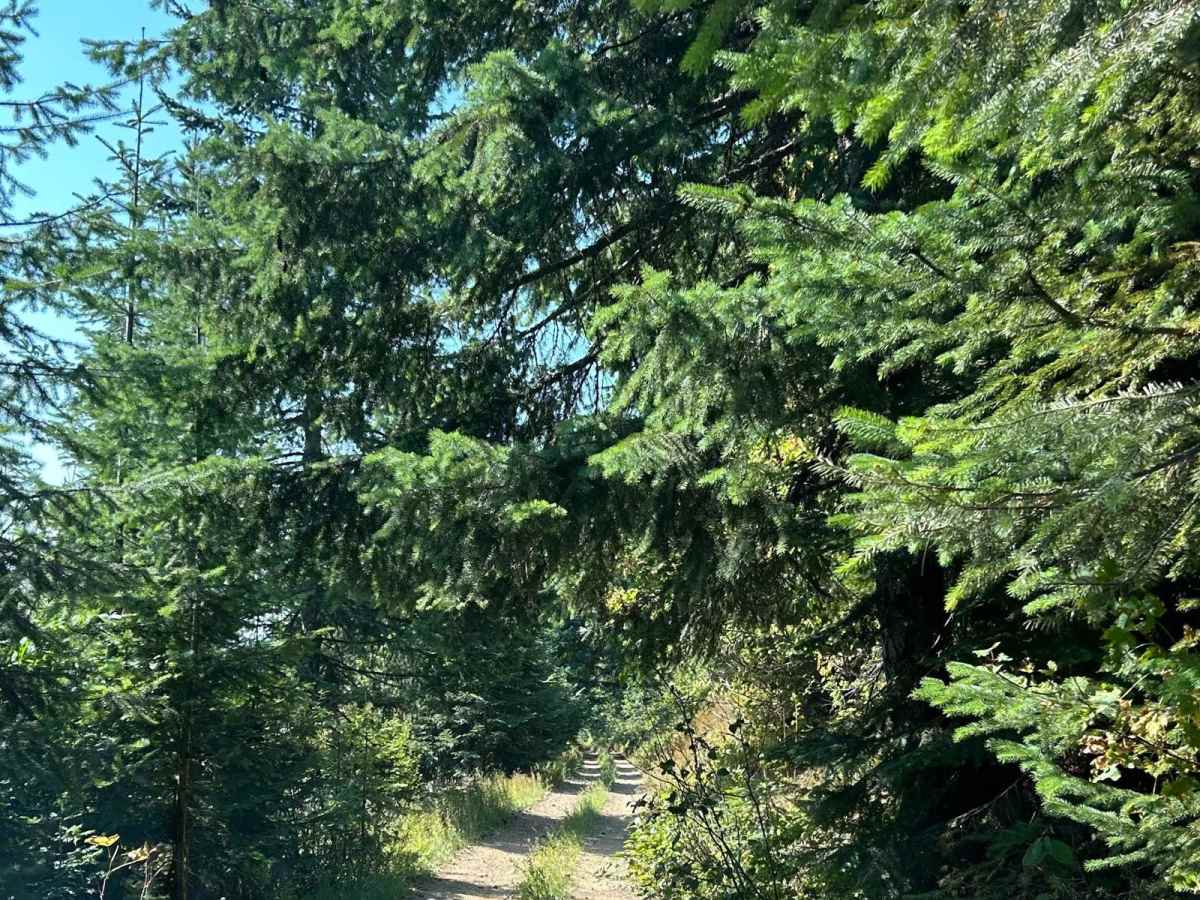 Solitaire Creek / Sob Creek 4WD photo 3