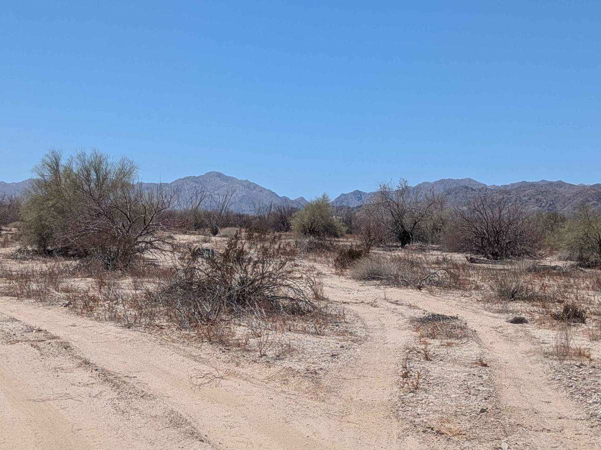 Afloramiento de Ocotillo photo 6