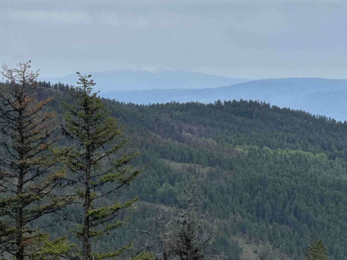 Jackpine Forest Service Road trail photo