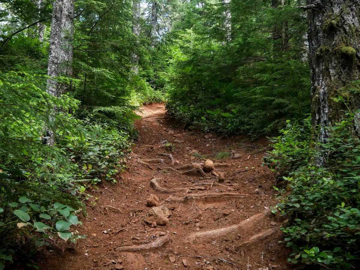 PC10 trail photo