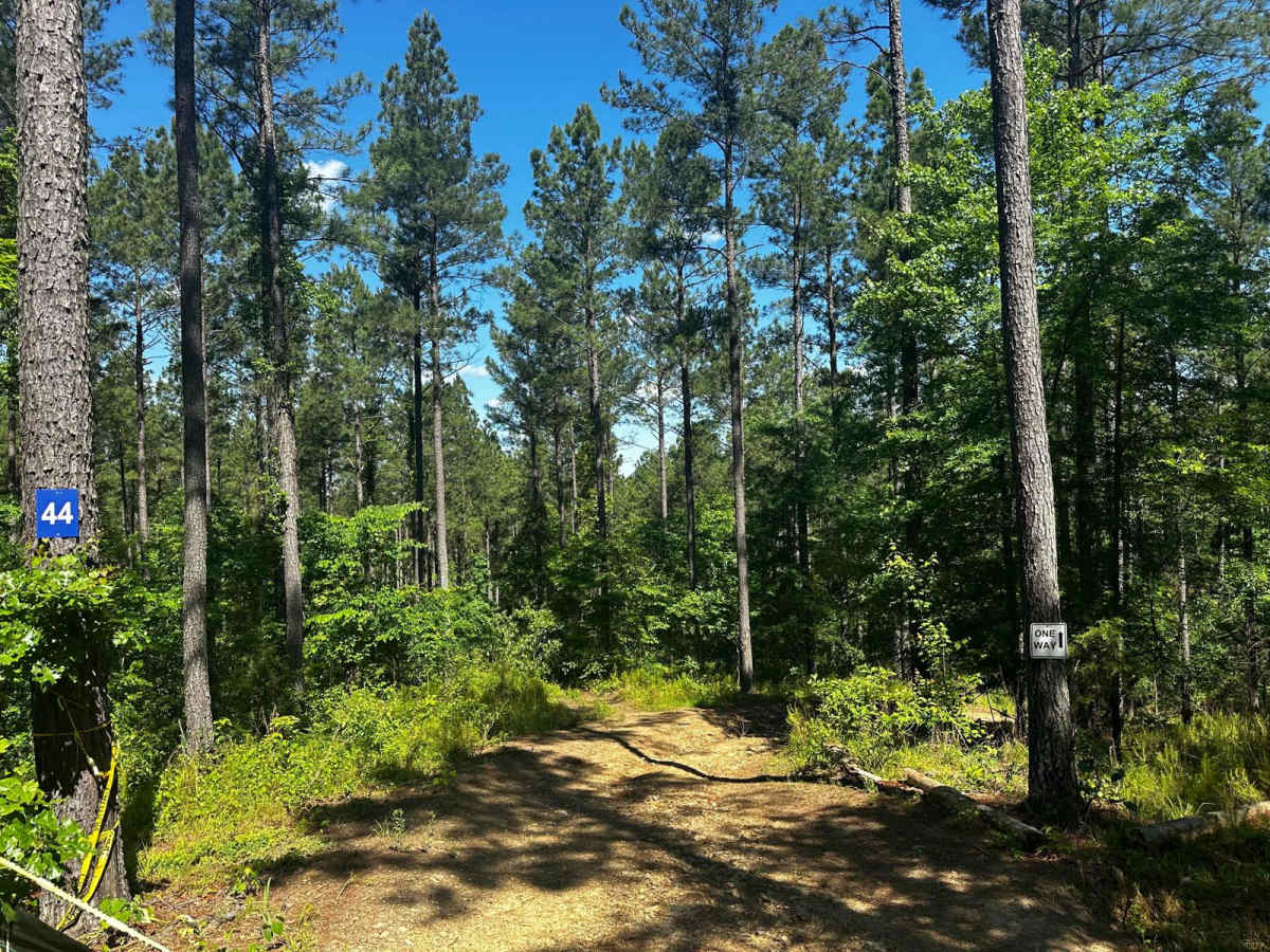 Trail 44 trail photo