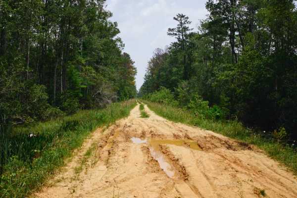 Hell Hole Bay Wilderness - FSR 158