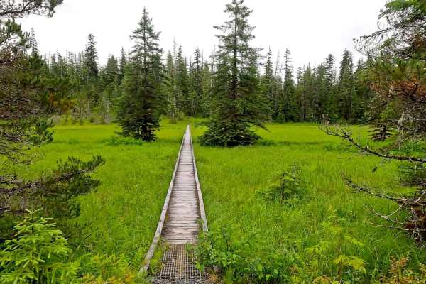 Three Lakes Loop 6235