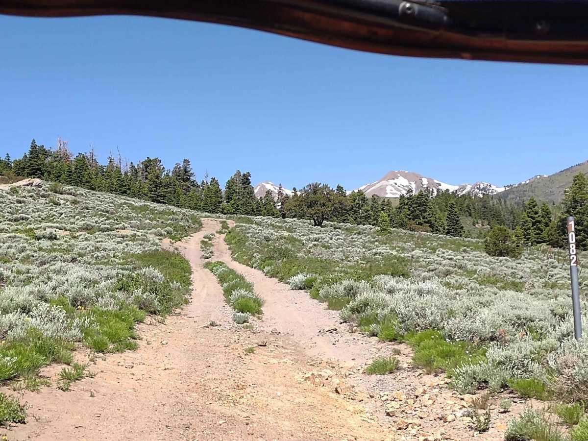 Gold Gulch Loop (FS# 41082) photo 2