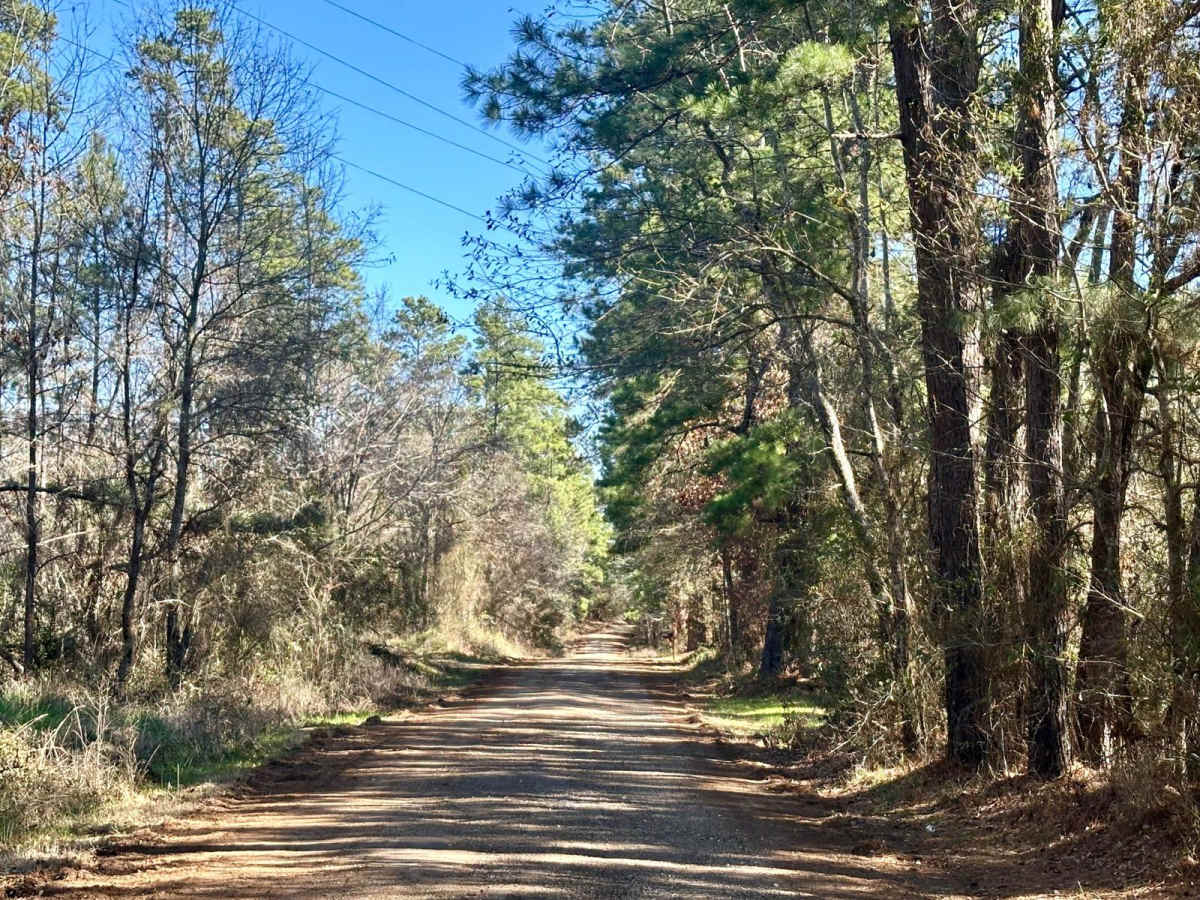 County Road 1155 photo 3