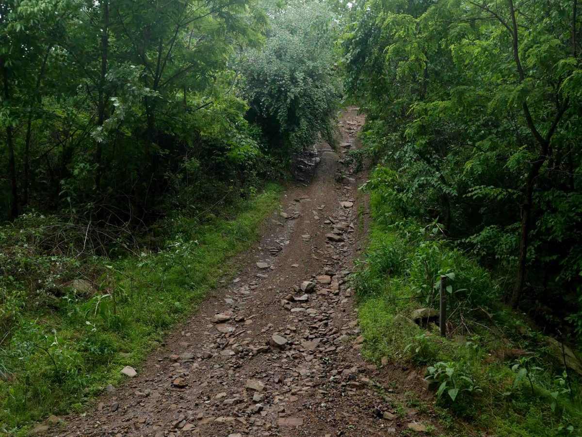 CC83 trail photo