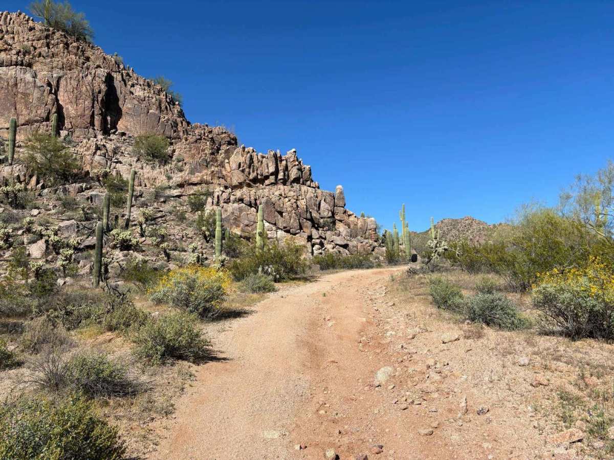 West Silverbell Mountain Loop photo 6