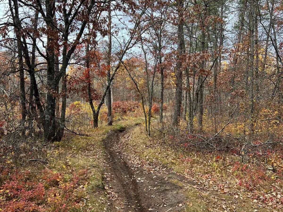 Scenic River Overlook Single Track photo 4
