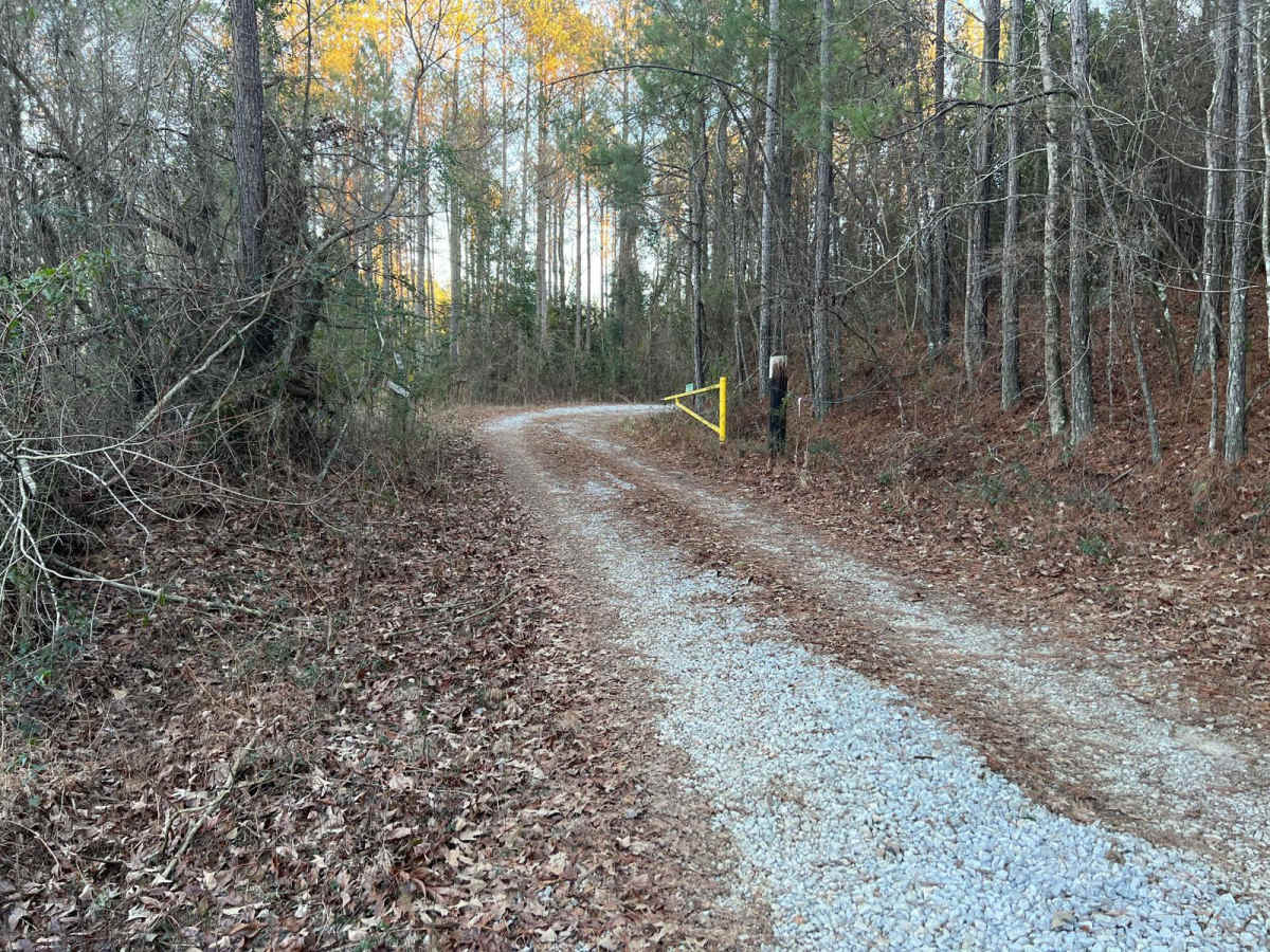 Lukes Loop trail photo