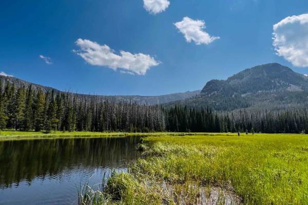 Prickly Pear to Tizer Lakes