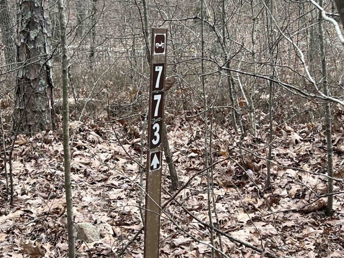 Bear Creek Mountain Road 773 photo 4