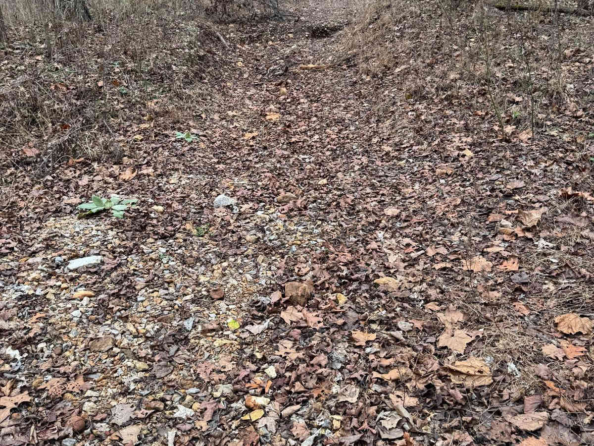 Green 349 trail photo