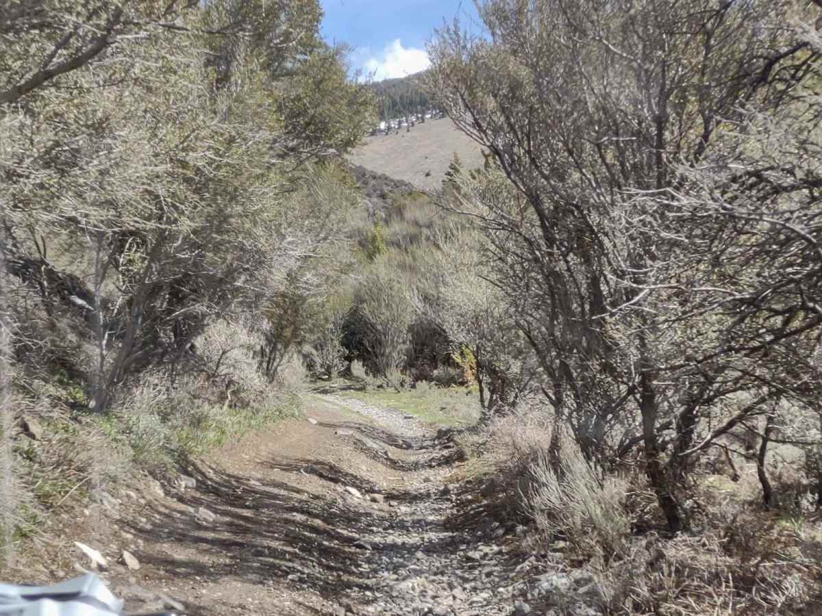 Wood Canyon - FS 561 photo 5