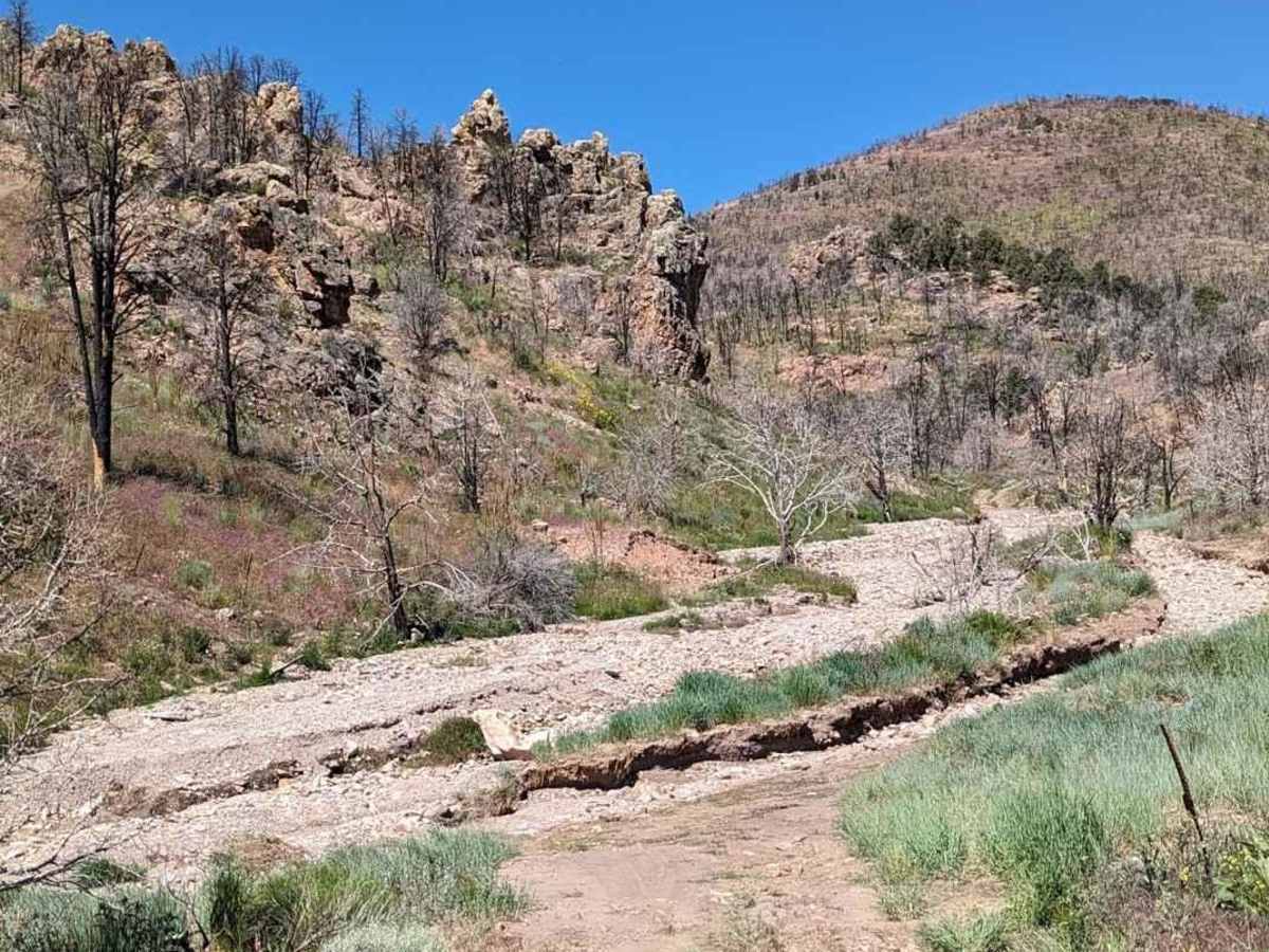 Johnny Canyon photo 2