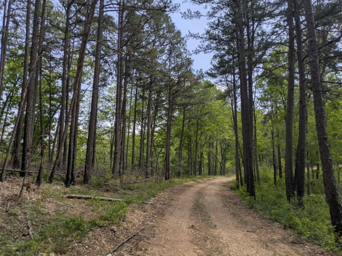 Merrill Ridge photo 4