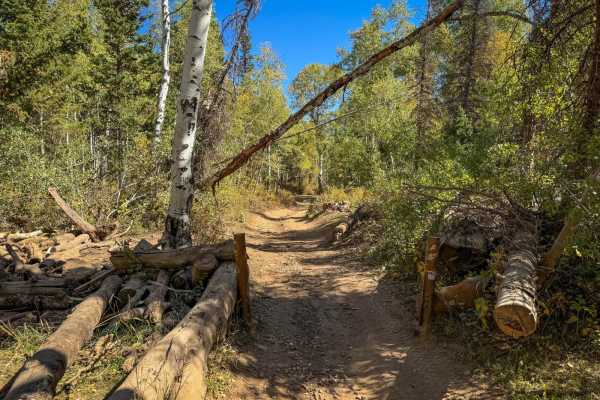 Public Grove ATV Trail