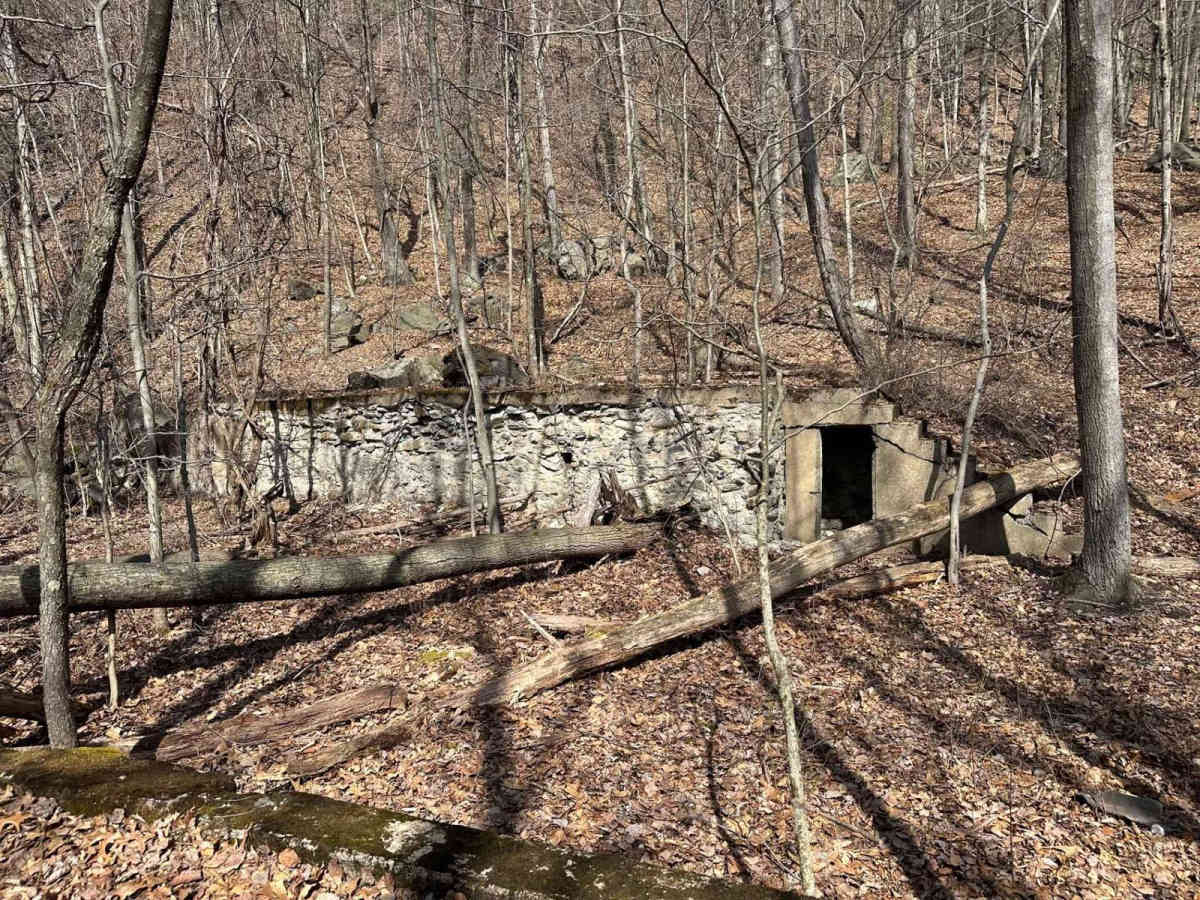 Ashland 14 photo 2