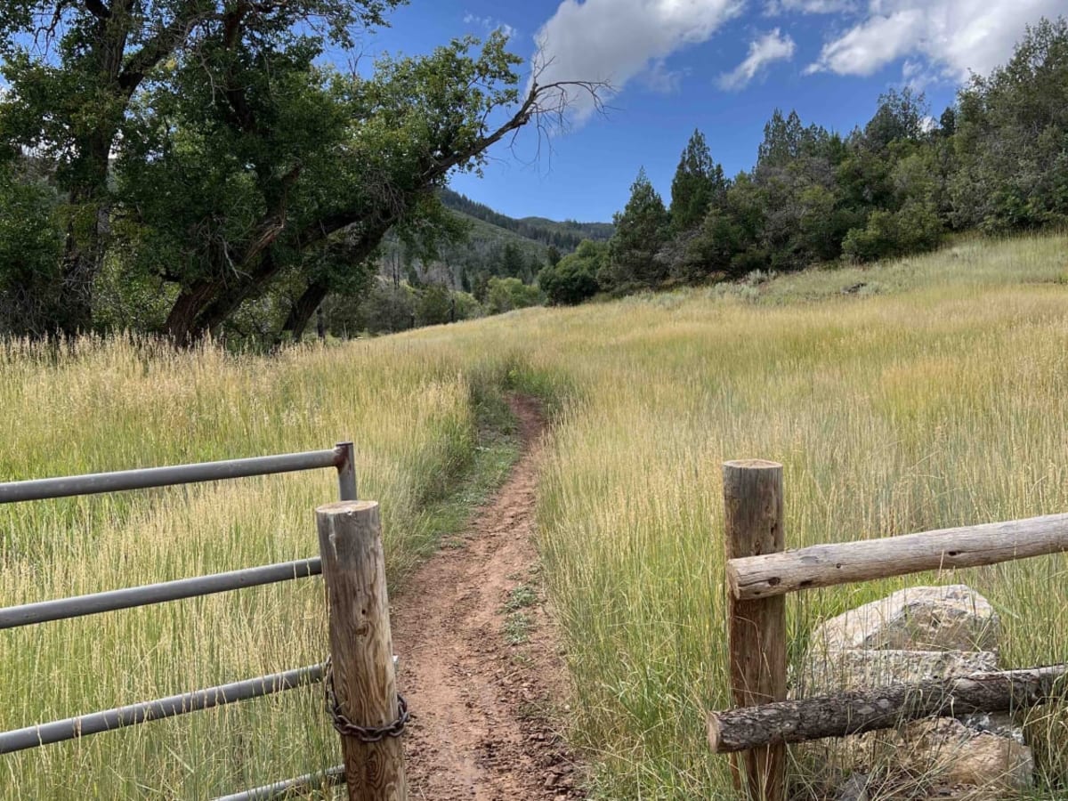 Mapleton-Sawmill Hollow (8013) trail photo