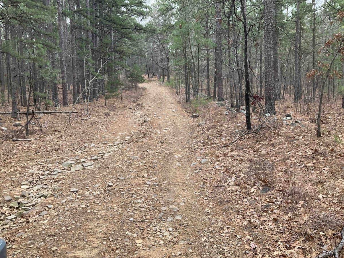 Goldville Trail photo 5