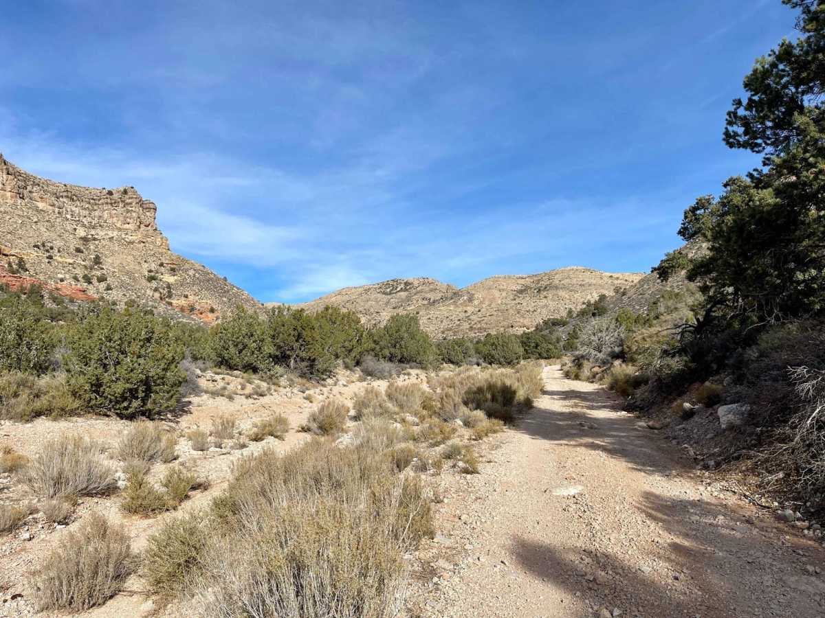 Saint George Canyon 1034 photo 3