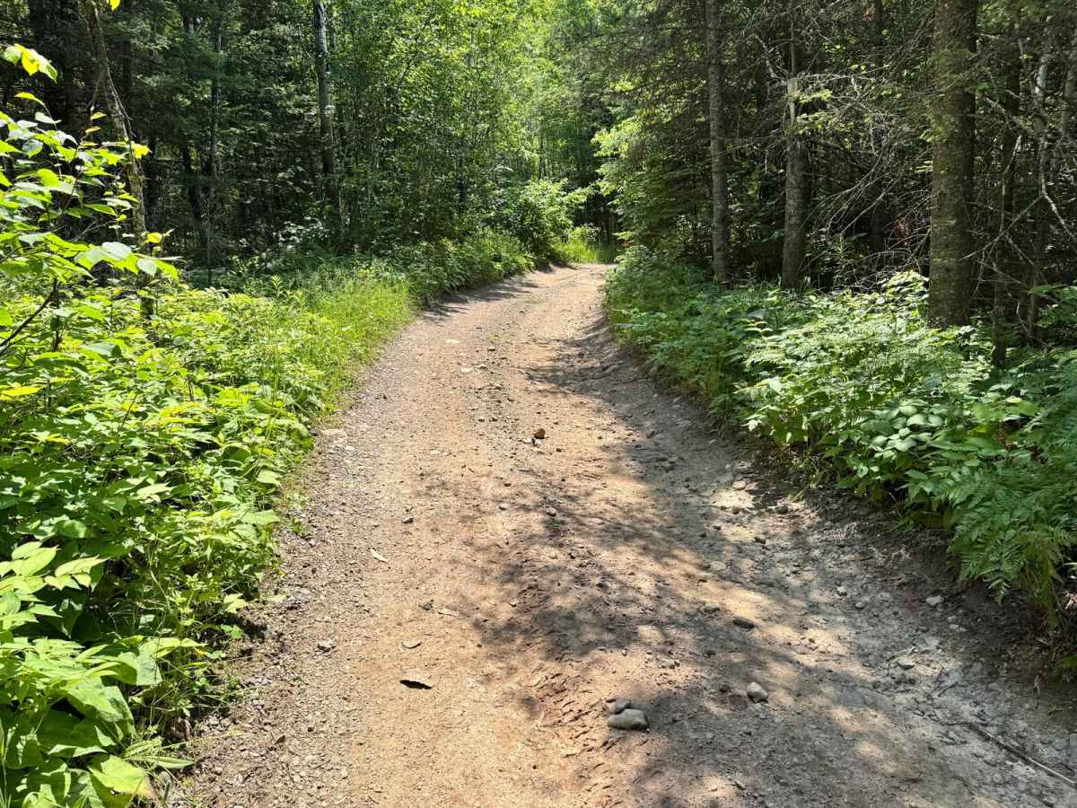 Eager Beaver Loop photo 5