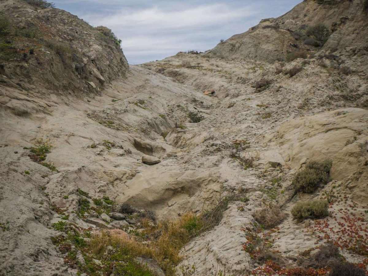 El Rosario Badlands photo 3