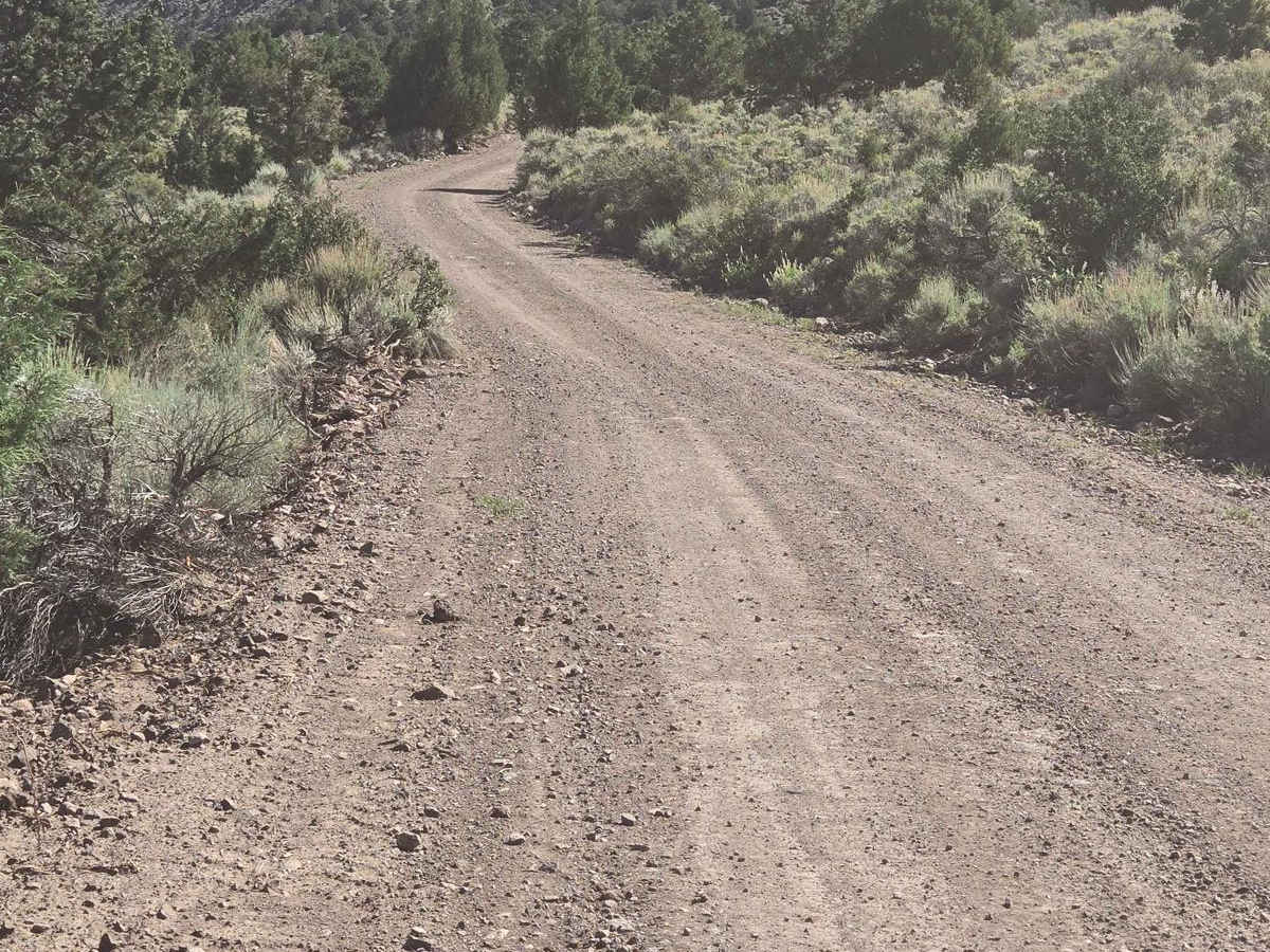 Parker Mountain Trail photo 6