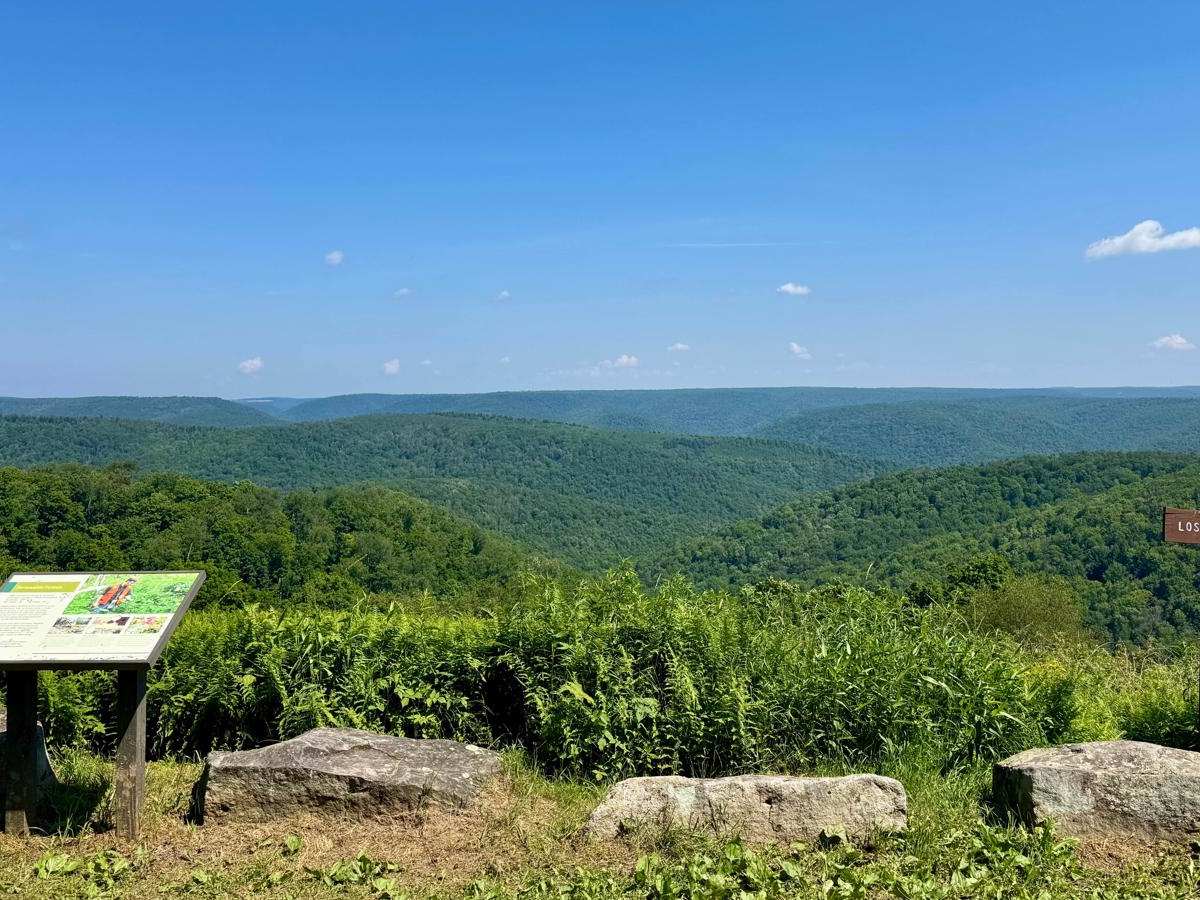Rock Run Road trail photo
