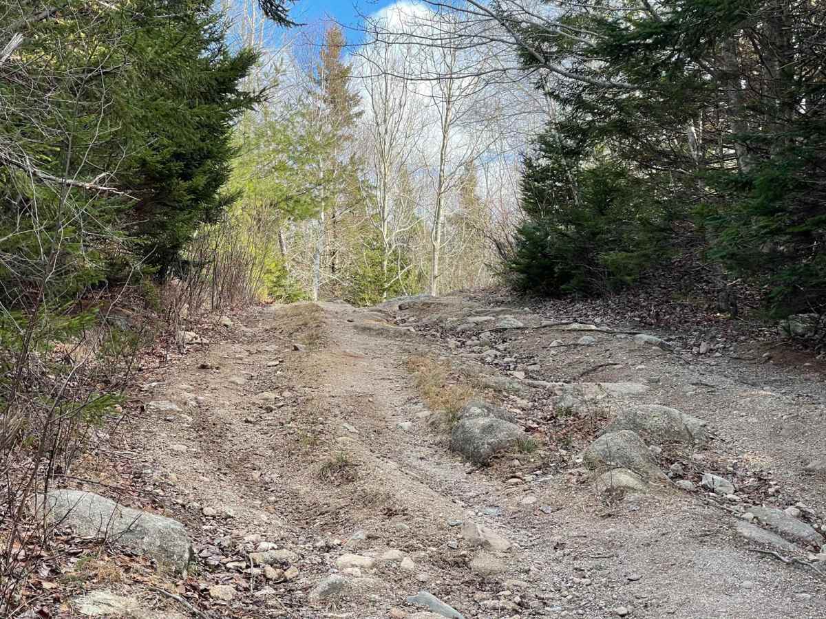 Airport Hill Trail photo 5