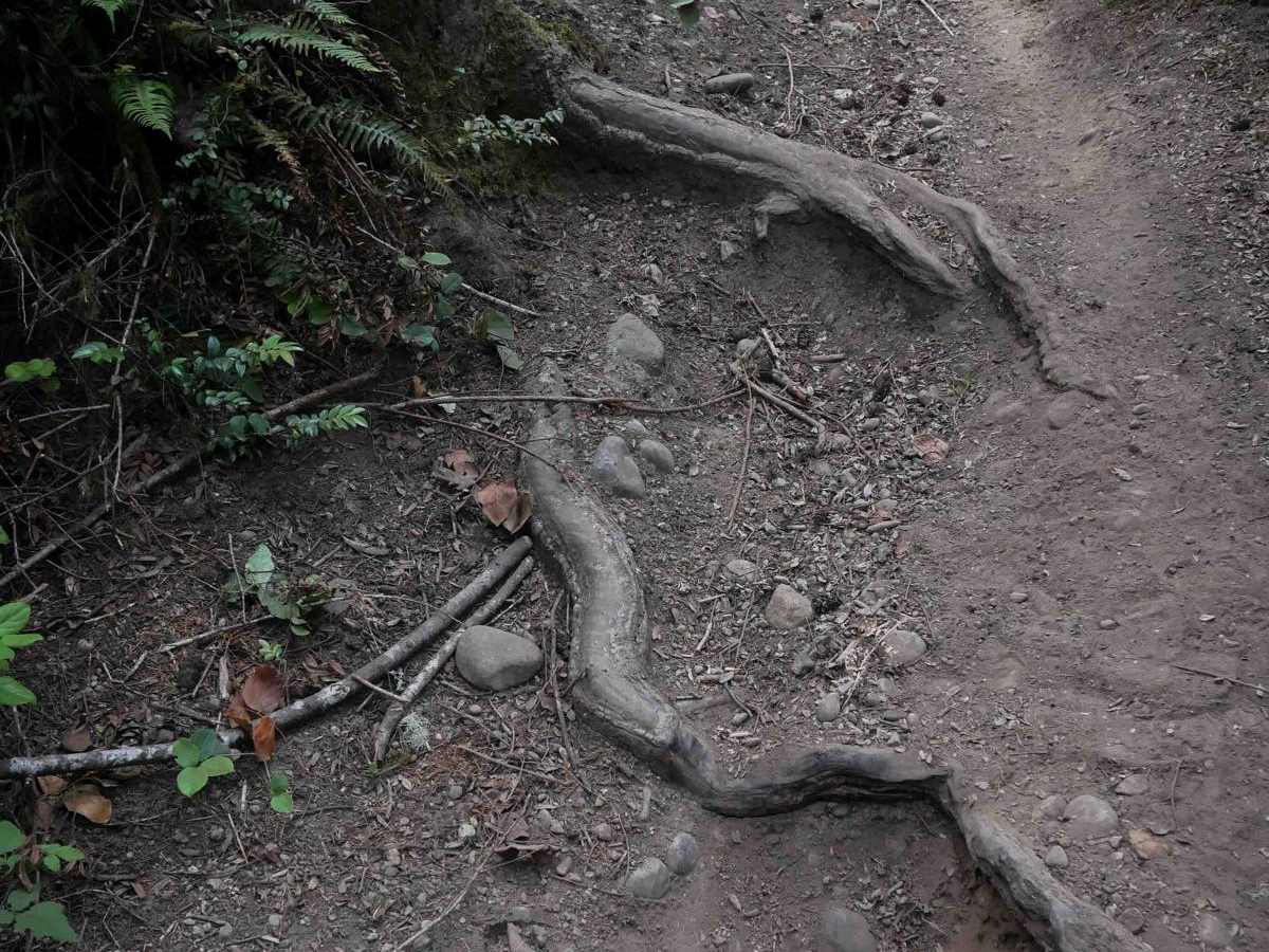 Derailleur photo 3