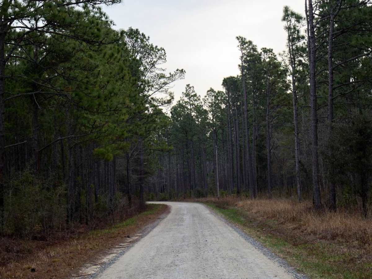 Brick Church & Hoover Road - FSR183 & FSR188 photo 3