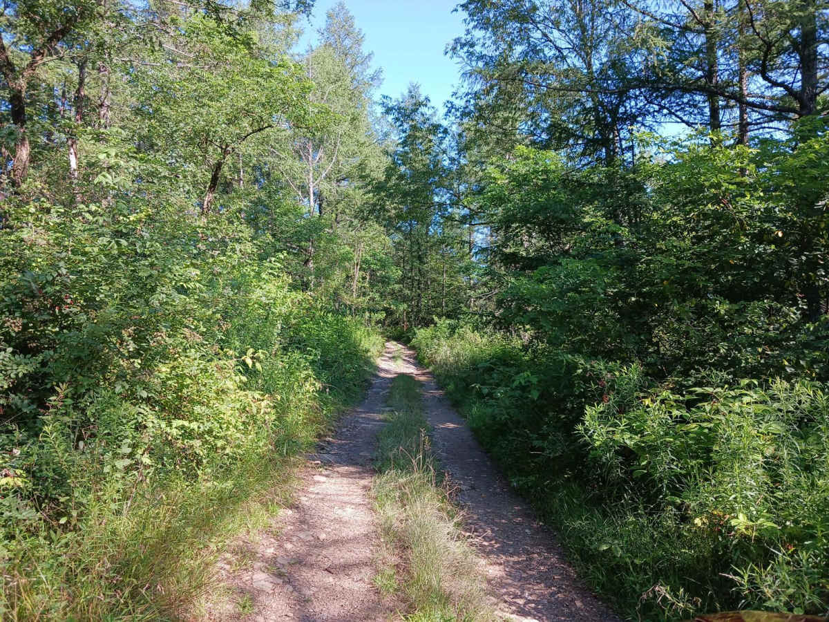 Trail 12P - Rock Run Recreation Area photo 6