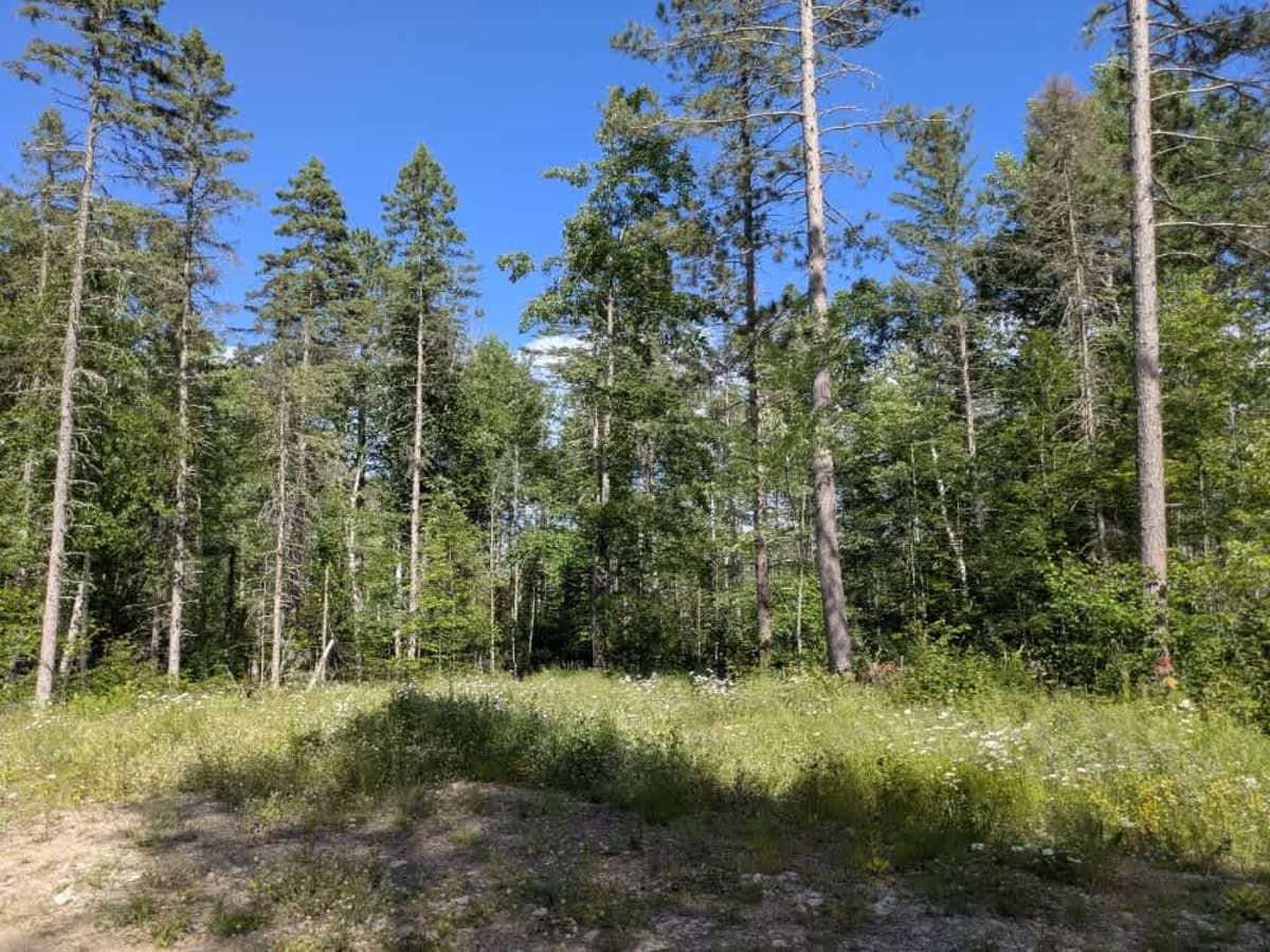 McNiven Spur C photo 5