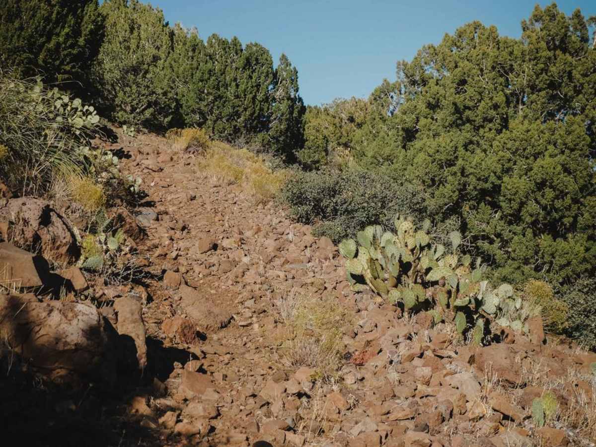 Ryal Canyon #521 trail photo