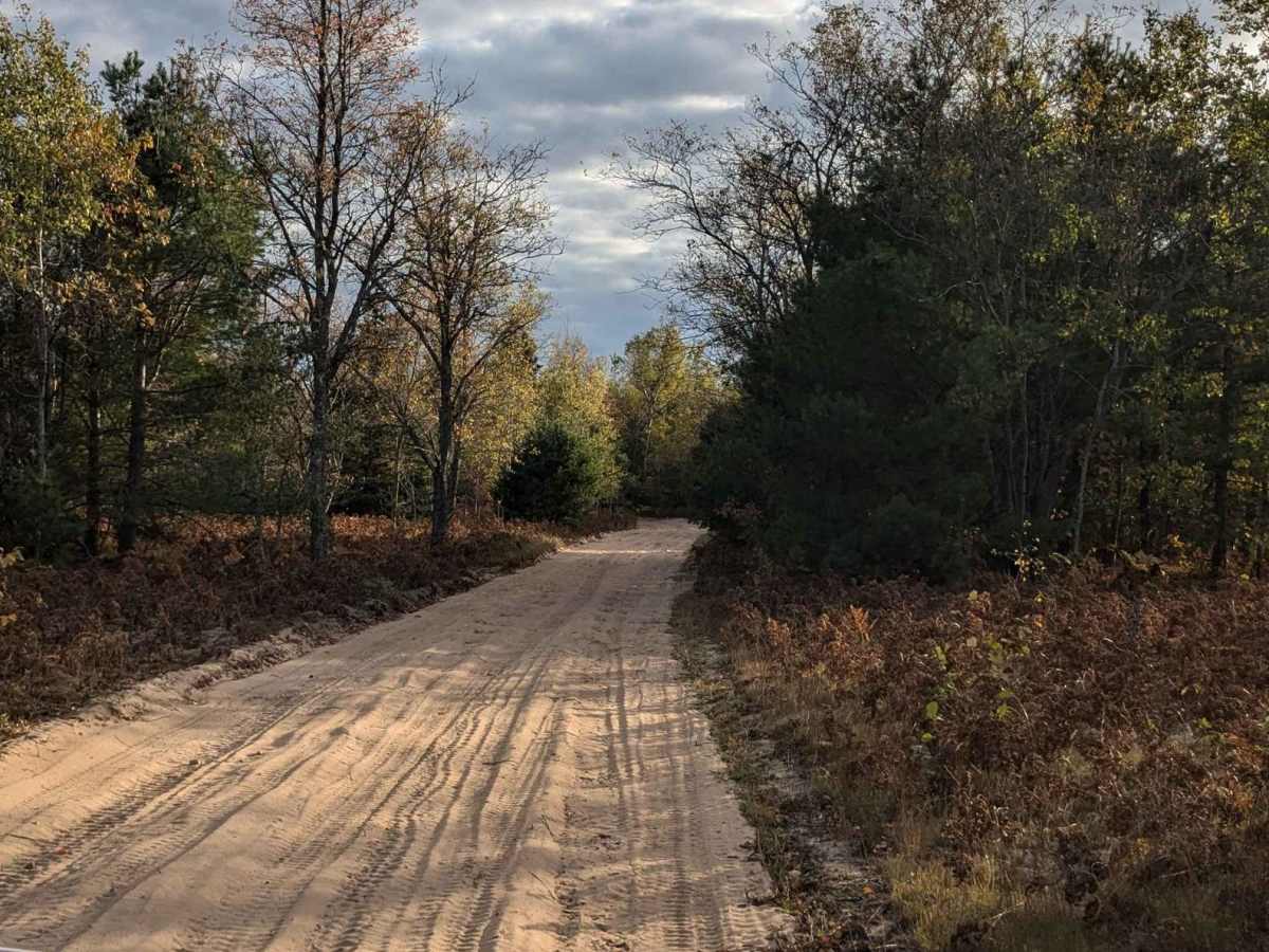 Camp 9 Road photo 2