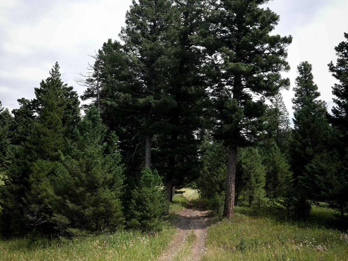 Willow Creek North Spur ATV photo 4