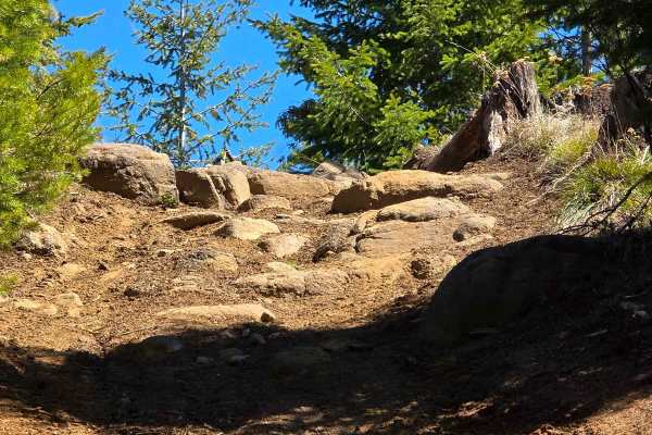 Divide Trail 4W311