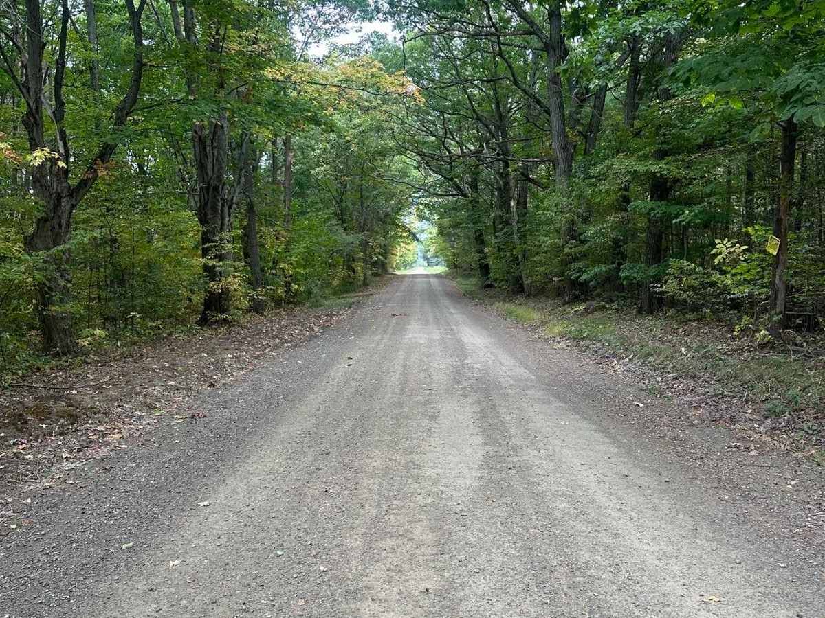 Bauchman Road trail photo